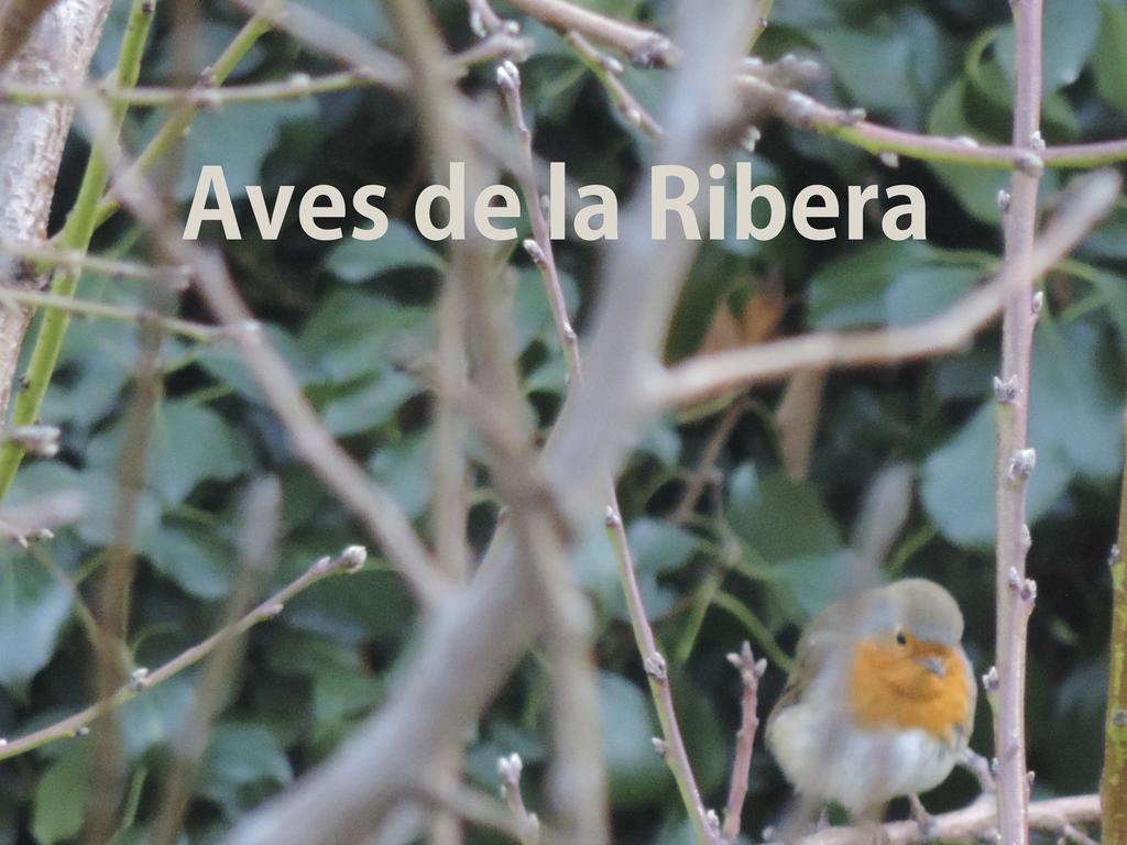 Гостевой дом El Retiro De Isabel Эмбид-де-ла-Рибера Экстерьер фото